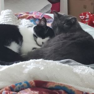 Meet your Posher, Iova! Selling what I love but don't use.